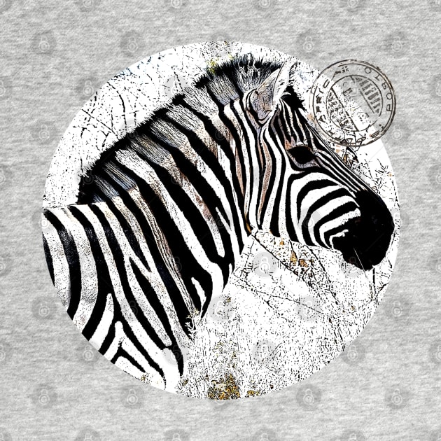 Zebra with postmark by Againstallodds68